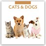 Cats & Dogs 2026 Square Wall Calendar - Red Robin - 9781804427132