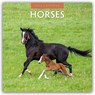 Horses 2026 Square Wall Calendar - Red Robin - 9781804427354