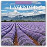 Lavender 2026 Square Wall Calendar - Red Robin - 9781804429310