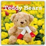 Teddy Bears 2026 Square Wall Calendar - Red Robin - 9781804429754