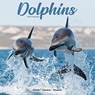 Dolphins Calendar 2024  Square Animal Wall Calendar - 16 Month -  - 9781804601365