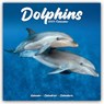 Dolphins Calendar 2025 Square Animal Wall Calendar - 16 Month -  - 9781804604304