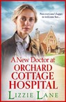 A New Doctor at Orchard Cottage Hospital - Lizzie Lane - 9781804834268