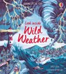 Look Inside Wild Weather - Emily Bone - 9781805071839