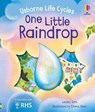One Little Raindrop - Lesley Sims - 9781805072690