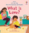 Very First Questions & Answers: What Is Love? - Katie Daynes - 9781805317944