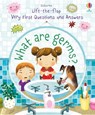 Daynes, K: Very First Questions and Answers What Are Germs? - Katie Daynes - 9781805318163