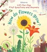 First Questions and Answers: How Do Flowers Grow? - Katie Daynes - 9781805319085