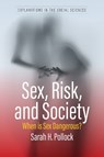 Sex, Risk, and Society - Sarah H. Pollock - 9781805399414
