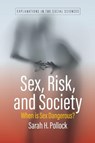 Sex, Risk, and Society - Sarah H. Pollock - 9781805399421
