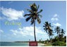 Florida Kalender 2026 - Wandkalender | Fotokalender Nordamerika 24x35cm - Sonne, Palmen & Strände: Farbenfrohe Motive aus dem Sunshine State für deine Wanddeko -  - 9781835246078