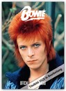 Official David Bowie A3 Calendar 2025 -  - 9781835270264