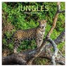 Jungles - Dschungel 2025 - 16-Monatskalender - Comello - 9781835360958