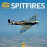 Imperial War Museums: Spitfires Wall Calendar 2026 (Art Calendar) -  - 9781835623855