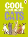 Cool Short-Haired Cats - Eliza Jeffery - 9781835693445