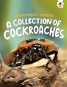 Discovering Insects: A Collection of Cockroaches - Rebecca Storm - 9781835694152