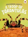 Discovering Insects: A Troop of Tarantulas - Rebecca Storm - 9781835694176