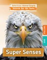 Super Senses - Anne O'Daly - 9781835720332