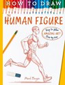 How To Draw The Human Figure - Mark Bergin - 9781835871928