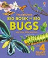 Big Book of Big Bugs - Emily Bone - 9781836040255