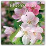 Blossoms - Blüten 2026 - 16-Monatskalender -  - 9781836224891