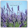Lavender - Lavendel 2026 - 16-Monatskalender -  - 9781836224976