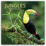 Jungles - Dschungel 2026 - 16-Monatskalender - Comello - 9781836225829