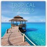 Tropical Escapes - Urlaub in den Tropen 2026 - 16-Monatskalender -  - 9781836225904