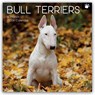 Bull Terrier 2026 - 16-Monatskalender -  - 9781836228608