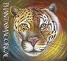 Phantasmagorical - Terry McManus - 9781836281405