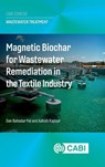 Magnetic Biochar for Wastewater Remediation in the Textile Industry - Dr Dan Bahadur (Assistant Professor Pal ; Dr Ashish (Doctor Kapoor - 9781836993988