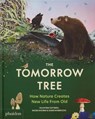 The Tomorrow Tree - Valentina Gottardi ; Maciej Michno ; Danio Miserocchi - 9781837290284