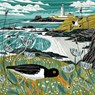 Sunny Spells and Scattered Showers - Jane McMorland Hunter - 9781837330416