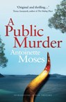 A Public Murder - Antoinette Moses - 9781838297701