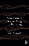 Somewhere Something is Burning - Alice Frecknall - 9781838427238