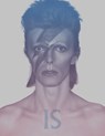 David Bowie Is - Victoria Broackes ; Geoffrey Marsh - 9781838510589