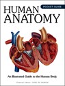 Human Anatomy - Jane de Burgh - 9781838866525