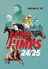 Racing Post Guide to the Jumps 2024-25 - David Dew - 9781839501500