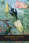 Marianne North 100 Postcards -  - 9781842466841
