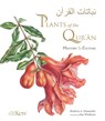 Plants of the Quran - GHAZANFAR,  Shahina A. - 9781842467176