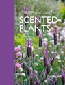 Gardening with Scented Plants - Tony Hall - 9781842468364