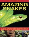 Exploring Nature: Amazing Snakes - Barbara Taylor - 9781843227366