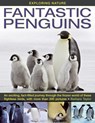Exploring Nature - Barbara Taylor - 9781843228530