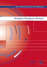 Biological Phosphorus Removal - P. M. J. Janssen ; K. Meinema ; H. F. van der Roest - 9781843390121