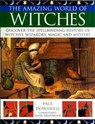Amazing World of Witches - Paul Dowswell - 9781844766697