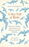 A Sky Full of Birds - Matt Merritt - 9781846044793
