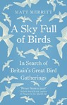 A Sky Full of Birds - Matt Merritt - 9781846044809