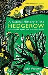 A Natural History of the Hedgerow - John Wright - 9781846685538