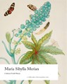 Maria Sibylla Merian - Catherine Powell-Warren - 9781848226234