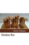 Shadow Box - Gerrie Fellows - 9781848618480